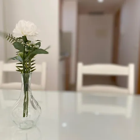 Brava Apartman