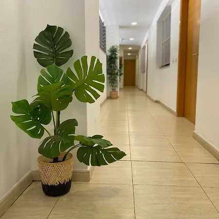 Brava Apartman Lloret de Mar