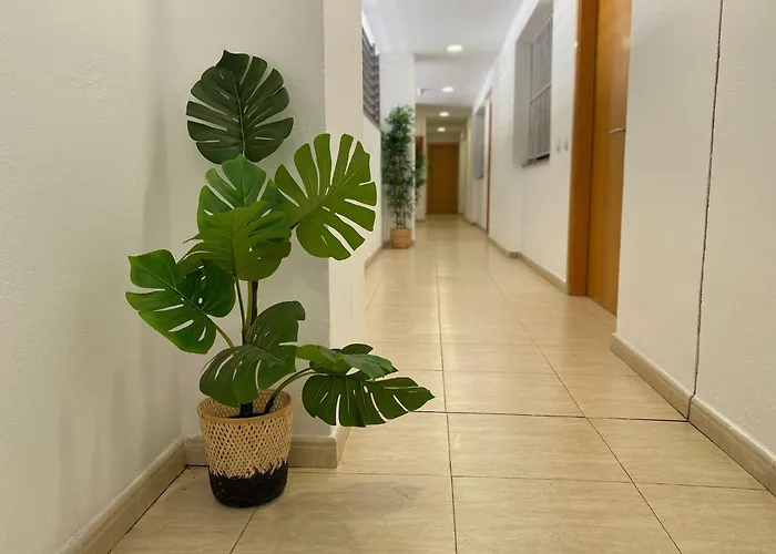 Brava アパート リョレート・デ・マル