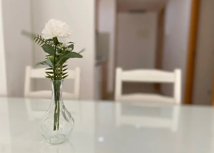 Brava Apartment